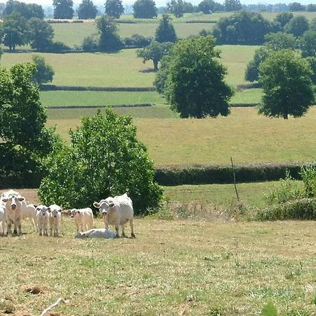 Domaine De La Madeleine