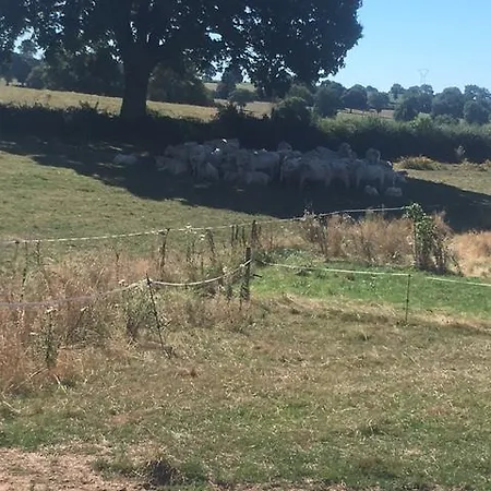 Domaine De La Madeleine Panzió 3*