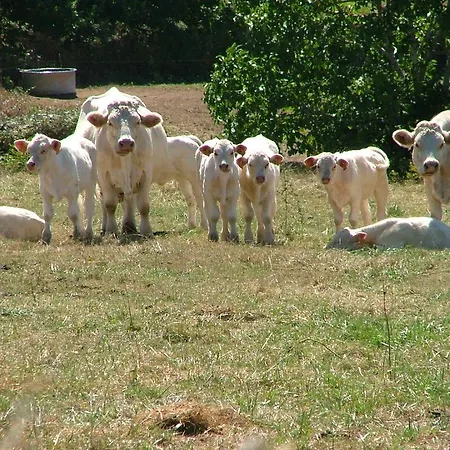 Domaine De La Madeleine Bed and Breakfast Ygrande