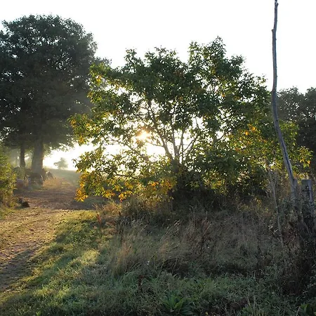Panzió Domaine De La Madeleine Ygrande