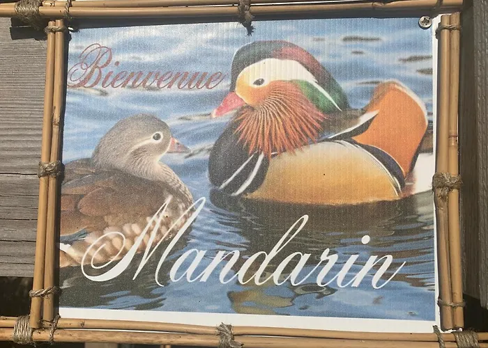 Domaine De La Madeleine